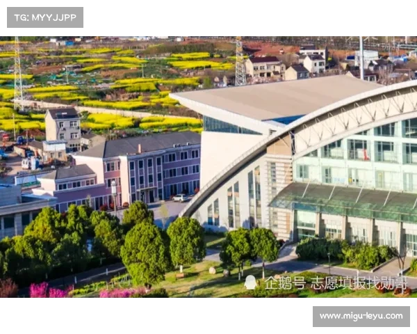 李景亮点评肖龙比赛：建议放松追求出拳速度而非绝对力量